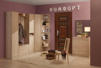 Шкаф для одежды угловой 1 Комфорт в Алейске - alejsk.mebel54.com | фото